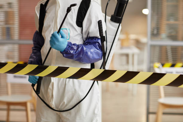 Professional Sewage Cleanup technician working in Bellevue, KY